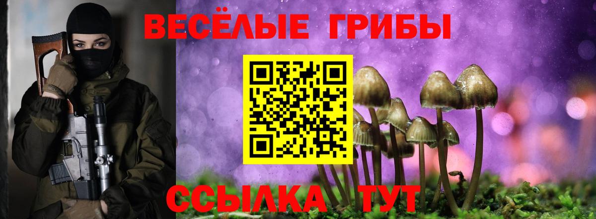 Кемерово  Псилоцибиновые грибы Psilocybine cubensis  Вход с VPN 